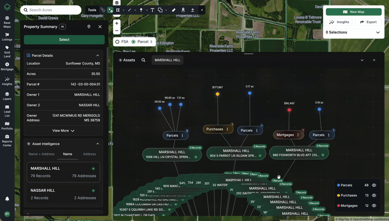 Asset Intel Record Nodes