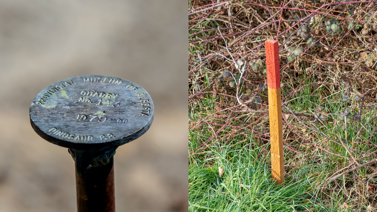 Boundary Pins for Property Lines