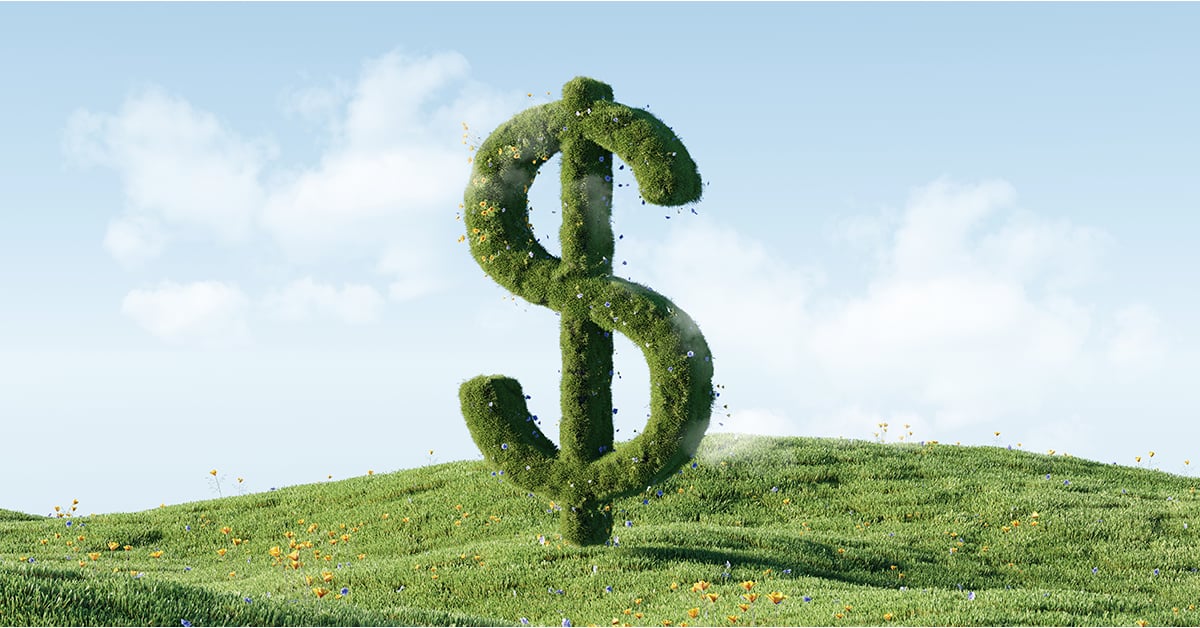 Dollar sign growing out of a green luscious meadow.