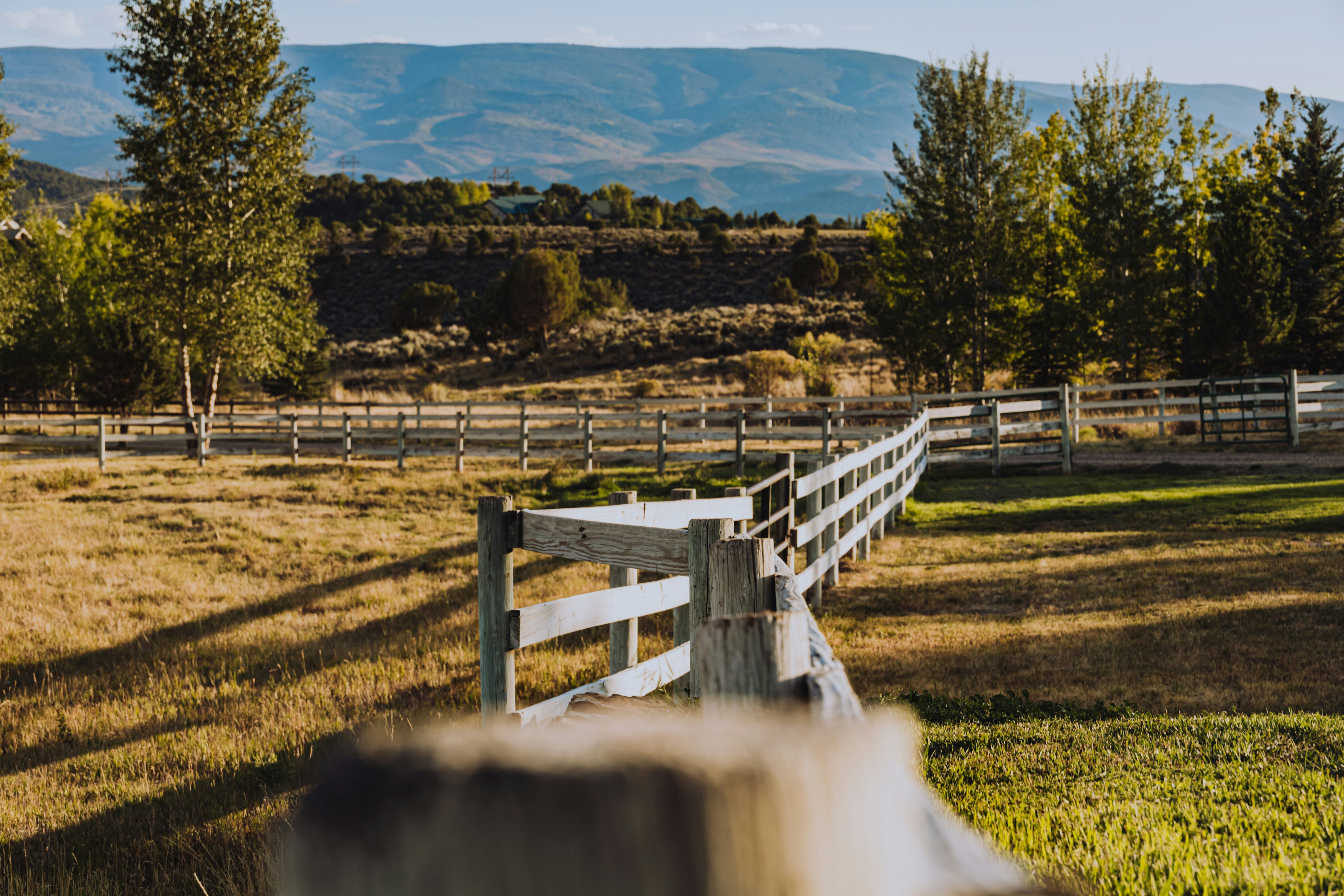 Colorado farm